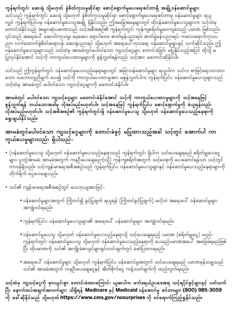 Burmese-2-770x1024