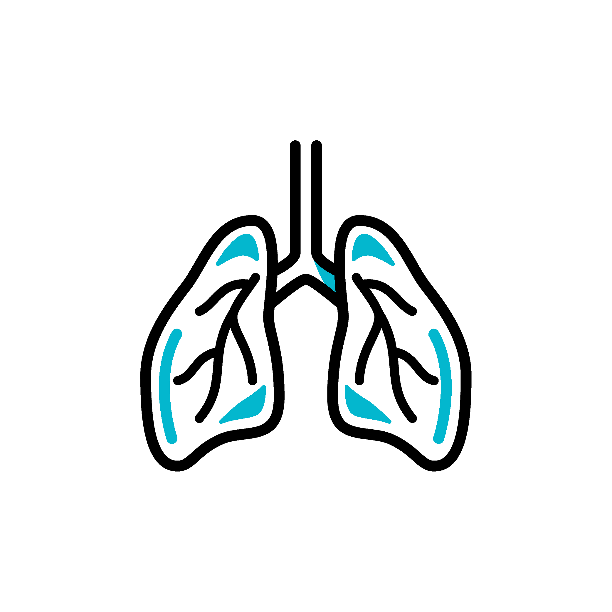 Pulmonology