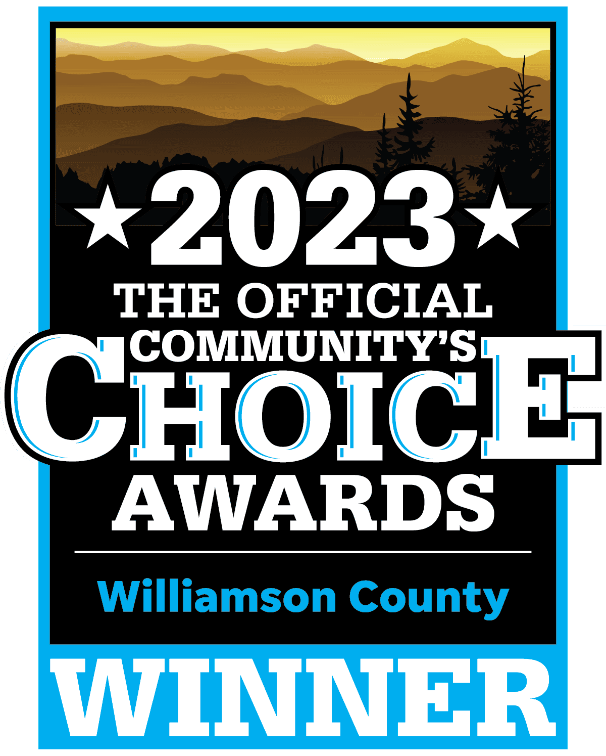 Tennessean 2023 Award