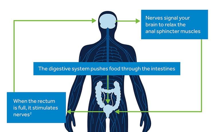 Medtronic Bowel Control Therapies